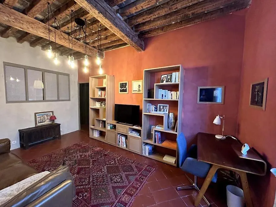 Grand Couvent - Superbe maison typique au cœur d'Arles-1